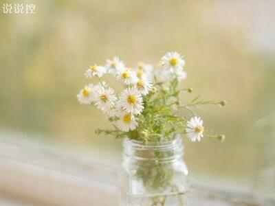 唯美个性说说,简短唯美个性说说