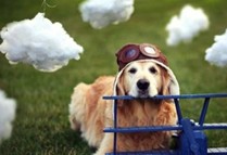 很有意思的个性说说