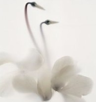 qq空间个性说说