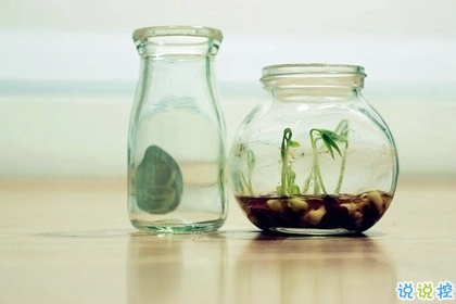 简单精辟关于现实的有道理的句子 在劫难逃索性不逃