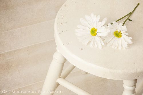 超励志的正能量说说 永远不要做一个摔一跤就站不起来的人