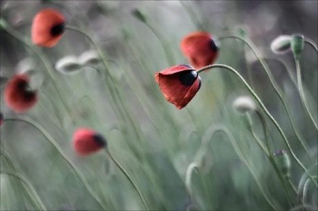 狠傲骄、特犀利、超现实的句子，挑一句给自己