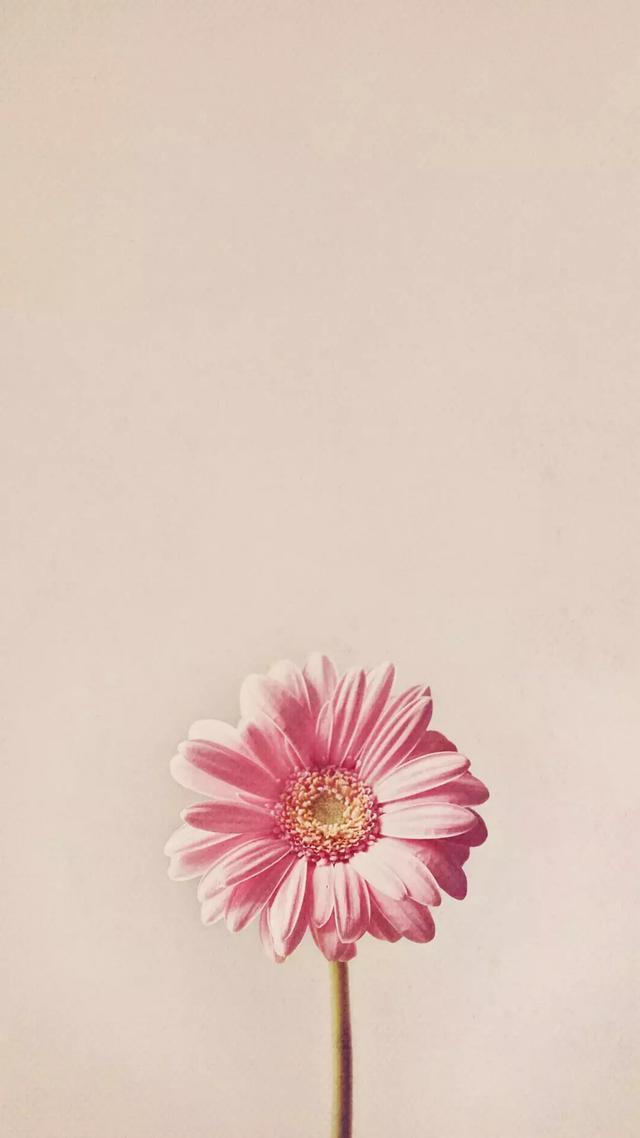 霸气犀利到噎死人的句子