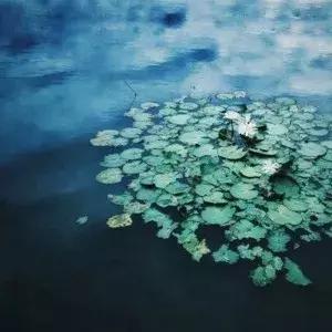 充满个性的句子，适合发说说