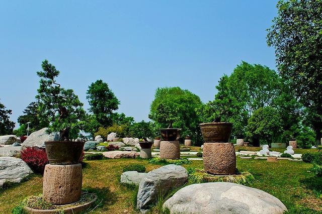 很真很霸道的句子,总有一句说到你心里