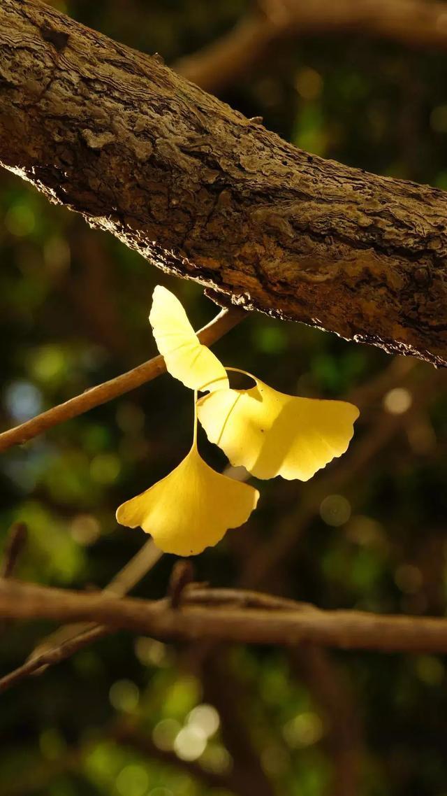 霸气现实超拽的一句话说说