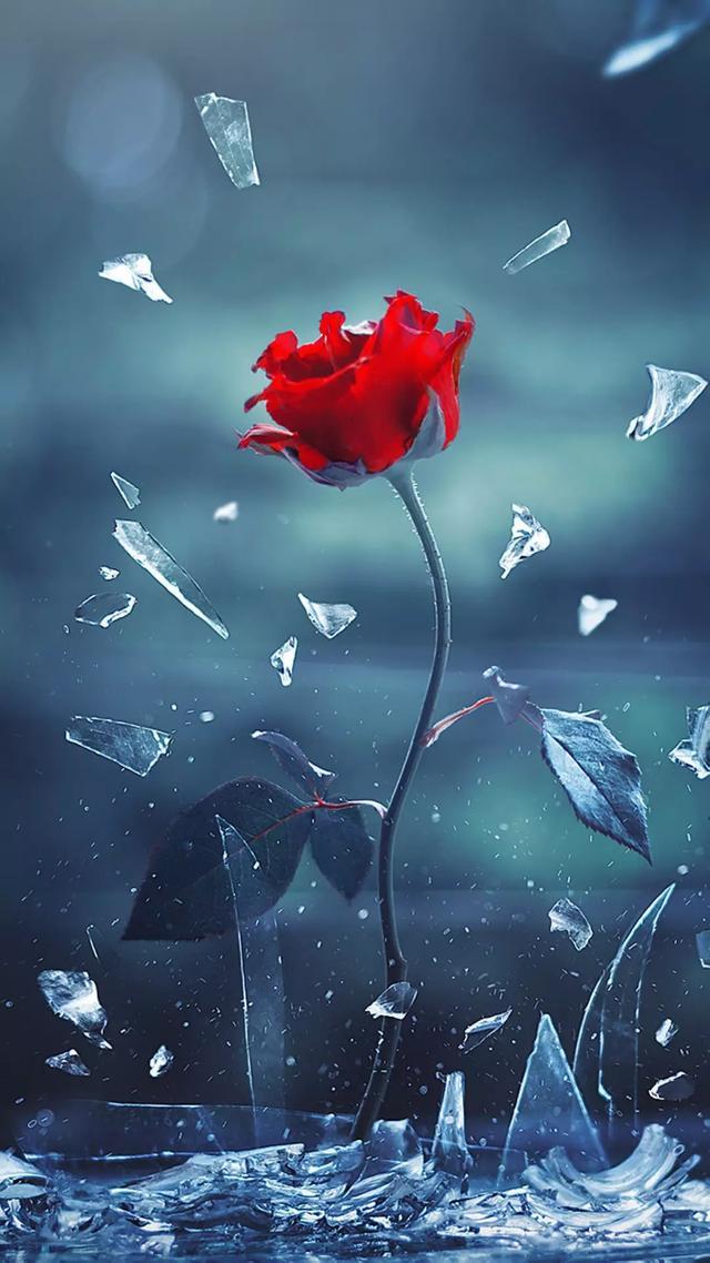 霸气深刻超拽的一句话签名说说