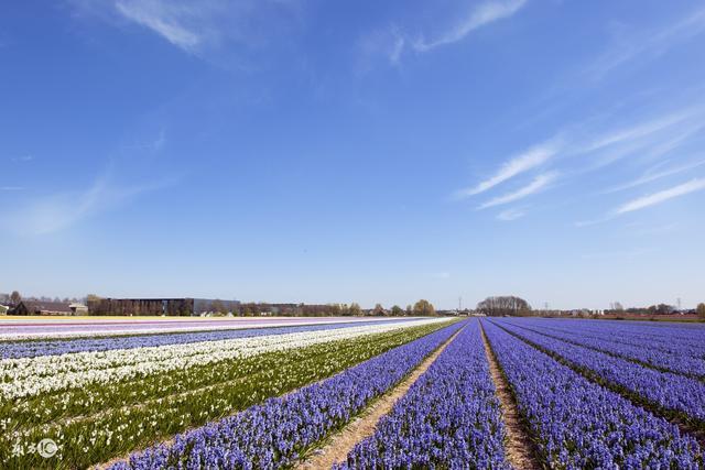 简单而有个性的朋友圈句子，句句入心