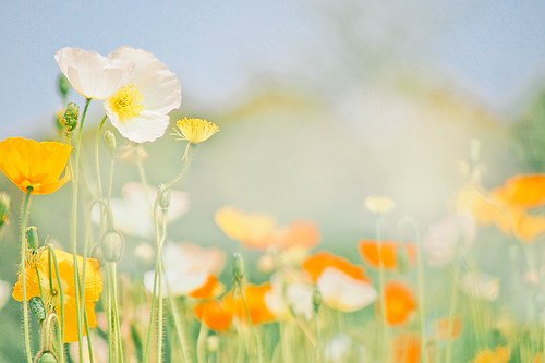 12个简短霸气的个性签名说说