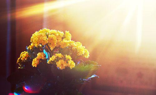 非主流,超现实,经典个性说说