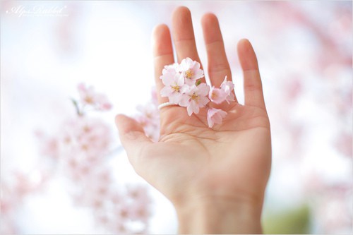 微信个性说说：人生没有如果，只有做与不做