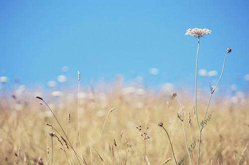 男生超个性说说