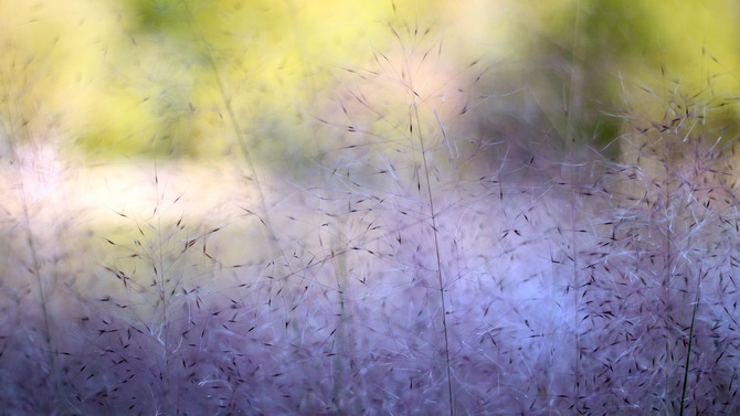 个性的空间说说短句