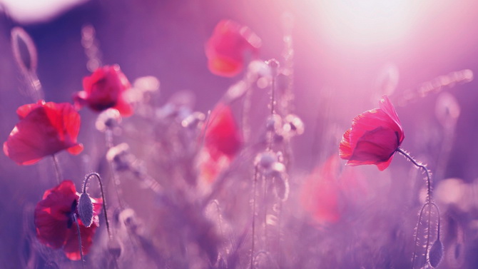 QQ说说有个性的