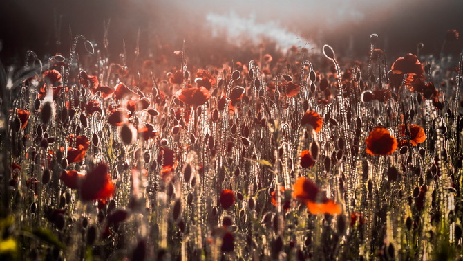 最有个性的说说语录
