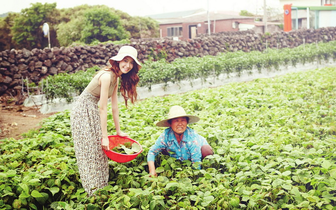 个性说说短语2017最新版