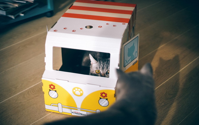 社会现实的个性说说