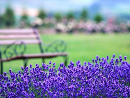 qq女生空间说说霸气超拽