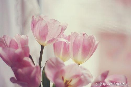 潇洒无畏，精辟霸气朋友圈说说