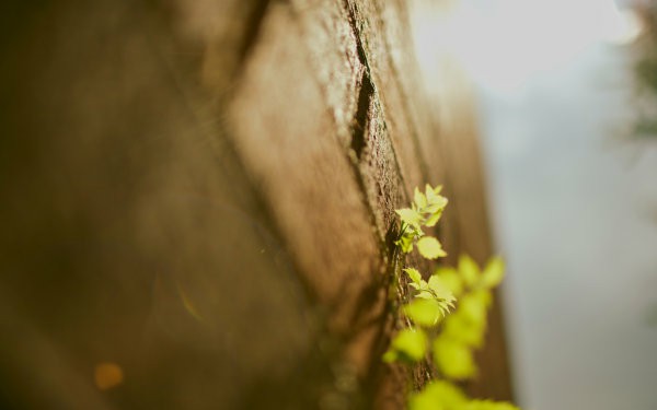 女生qq犀利的说说