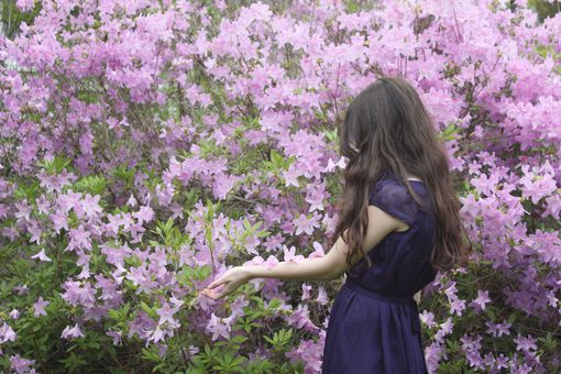 qq情感说说带图片