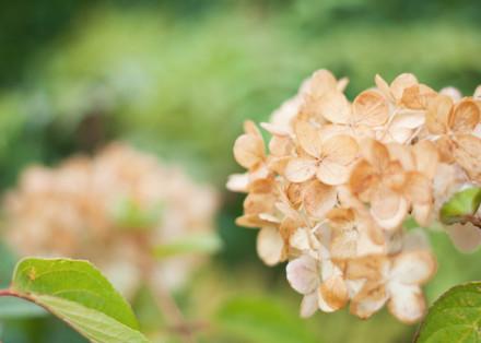 个性说说：愿你人生无可辜负，愿岁月不用回顾