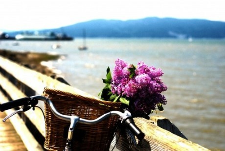 qq个性好听的说说