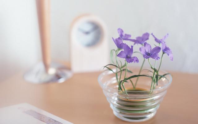 QQ空间青春伤感的心情个性说说