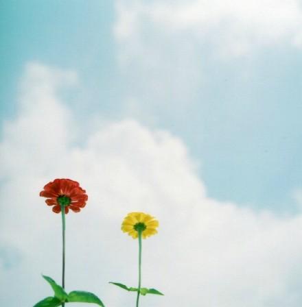 唯美个性说说：你爱TA，却未拼尽全力