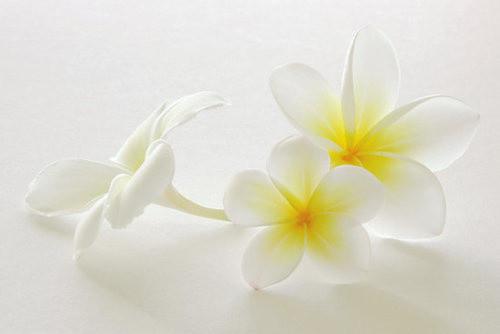 心累了的伤感QQ个性说说