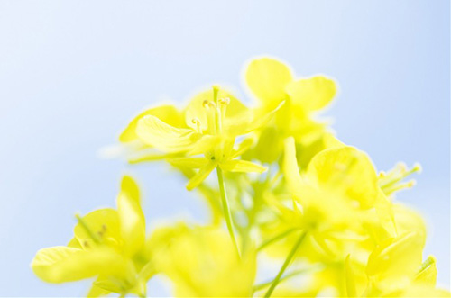 空间个性说说带图片