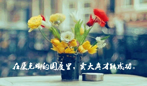 哲理搞笑QQ说说心情短语