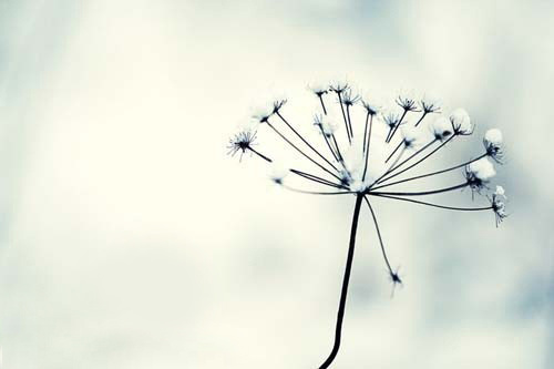 现实很残酷QQ说说大全