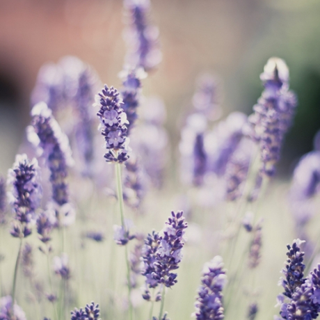 心累的伤感心情短语