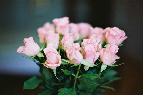 个性说说：你说有你爱着的我不需要坚强