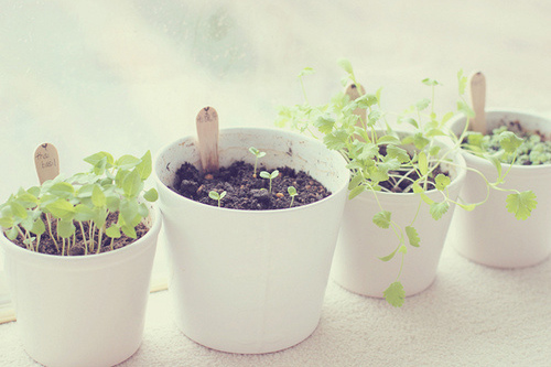 个性说说：个性伤感爱情短语