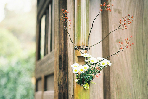 个性说说：生活或许总有遗憾，但未来依旧美好