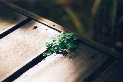 个性说说：超拽说说女生霸气