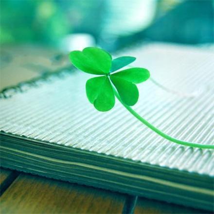 微信朋友圈文雅点的说说