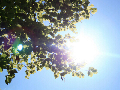 霸气的个性说说带图片