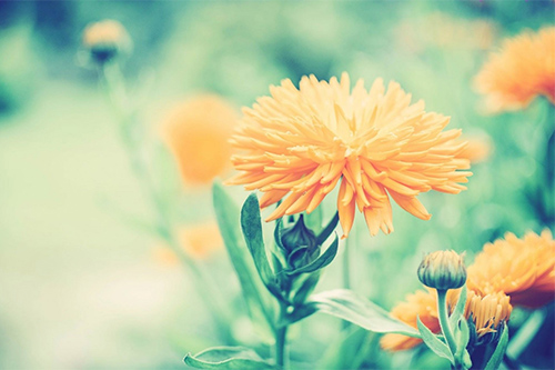 qq有内涵唯美个性签名