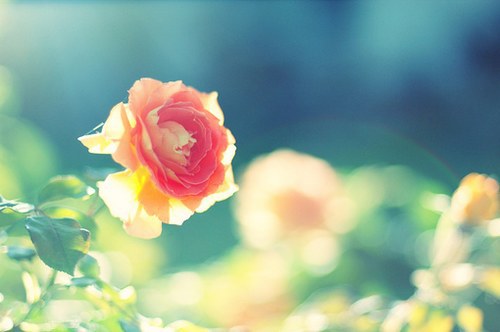 qq自恋个性签名2017