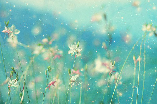 tfboys个性签名大全