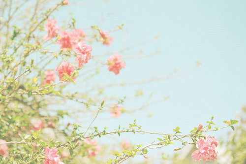 校园毕业季说说