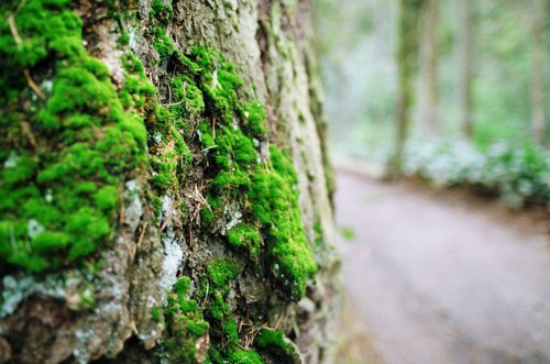 最帅气的男生qq签名