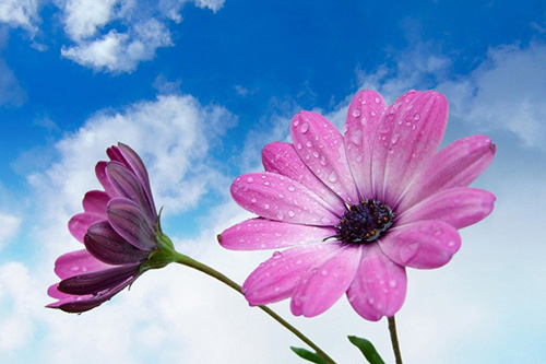 开朗女生个性签名