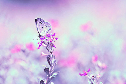 2017好的个性签名