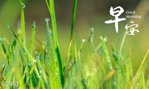 吃货女生专用的发在朋友圈和qq空间表明爱吃饭，是吃货的个性说说合集