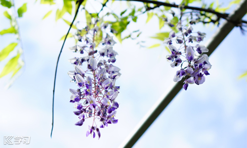 甜美小女生专用的可爱清新萌系经典个性说说合集