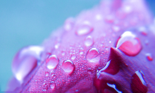 精选100句关于描写姐妹感情的经典说说，表达姐妹感情深的说说合集